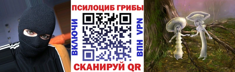 Псилоцибиновые грибы мухоморы  Купить где  Семёнов 